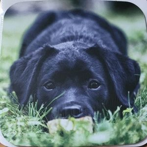 🔴BUNDLE 5/$20🔴Mouse pad with puppy design. New